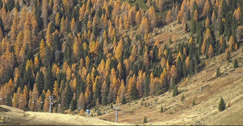 Webcam San Martino di Castrozza - Passo Rolle - Tognola - Piste Scandola