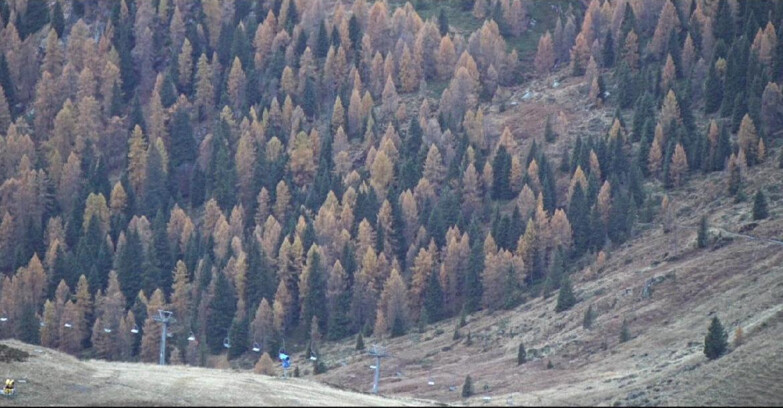 Webcam San Martino di Castrozza - Passo Rolle - Tognola - Pista Scandola
