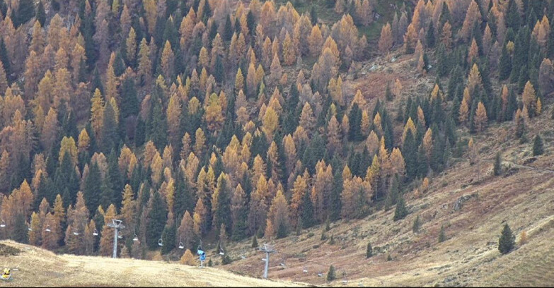 Webcam San Martino di Castrozza - Passo Rolle - Tognola - Pista Scandola