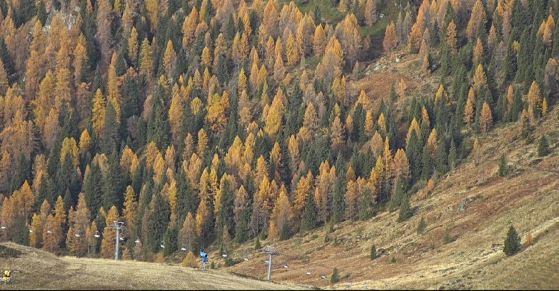 Webcam San Martino di Castrozza - Passo Rolle - Tognola - Piste Scandola