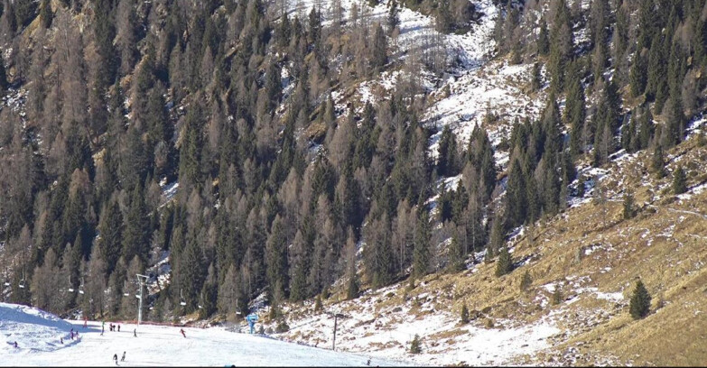 Webcam San Martino di Castrozza - Passo Rolle - Tognola - Piste Scandola