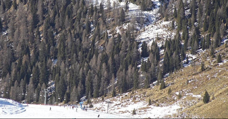 Webcam San Martino di Castrozza - Passo Rolle - Tognola - Piste Scandola