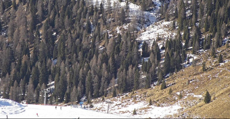 Webcam San Martino di Castrozza - Passo Rolle - Tognola - Piste Scandola