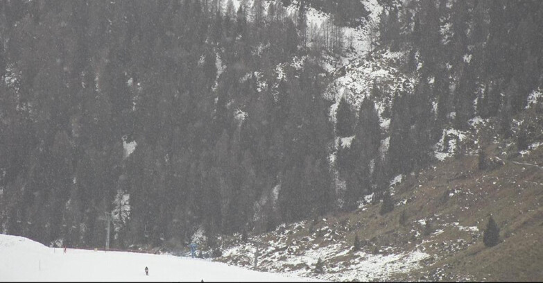 Webcam Сан-Мартино-ди-Кастроцца - Пассо-Ролле - Tognola - Piste Scandola