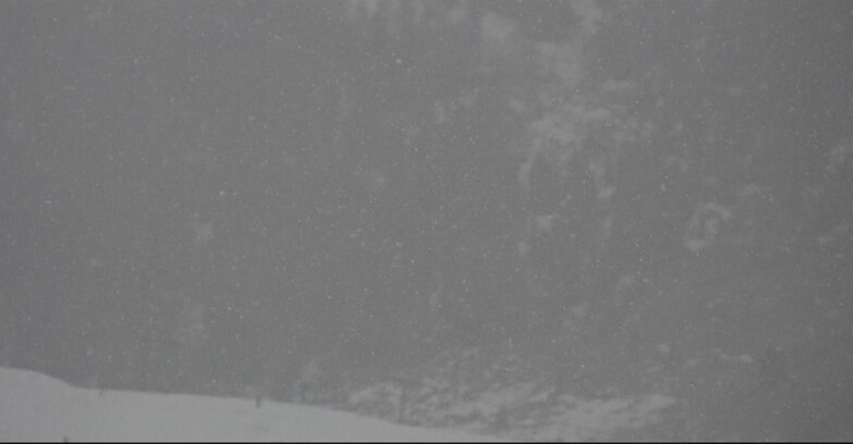 Webcam Сан-Мартино-ди-Кастроцца - Пассо-Ролле - Tognola - Piste Scandola