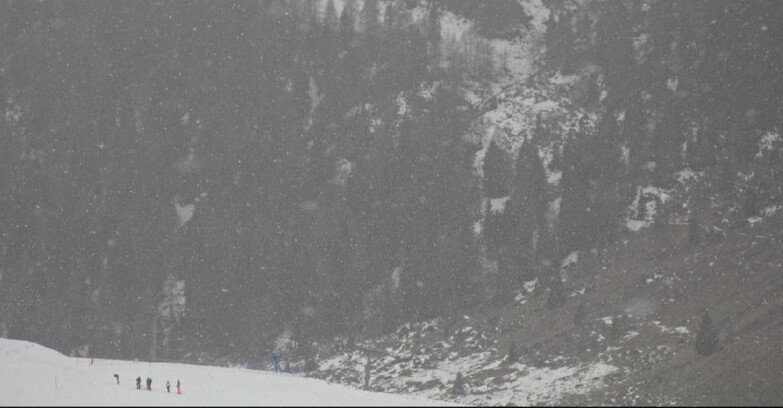 Webcam Сан-Мартино-ди-Кастроцца - Пассо-Ролле - Tognola - Piste Scandola