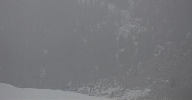 Webcam Сан-Мартино-ди-Кастроцца - Пассо-Ролле - Tognola - Piste Scandola