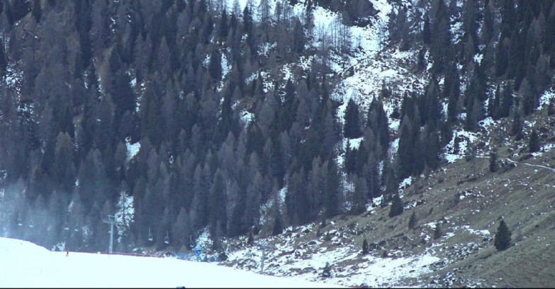 Webcam Сан-Мартино-ди-Кастроцца - Пассо-Ролле - Tognola - Piste Scandola