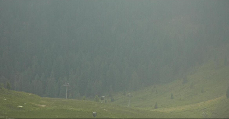 Webcam San Martino di Castrozza - Passo Rolle - Tognola - Pista Scandola