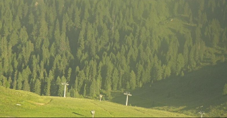 Webcam Сан-Мартино-ди-Кастроцца - Пассо-Ролле - Tognola - Piste Scandola