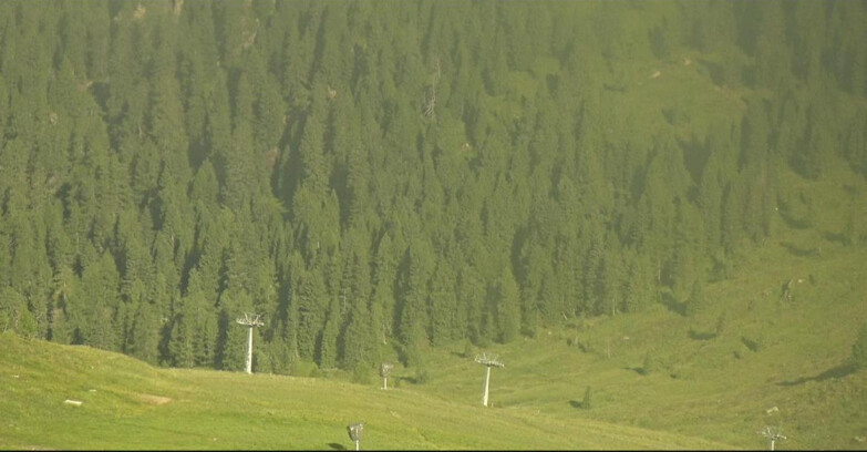 Webcam Сан-Мартино-ди-Кастроцца - Пассо-Ролле - Tognola - Piste Scandola