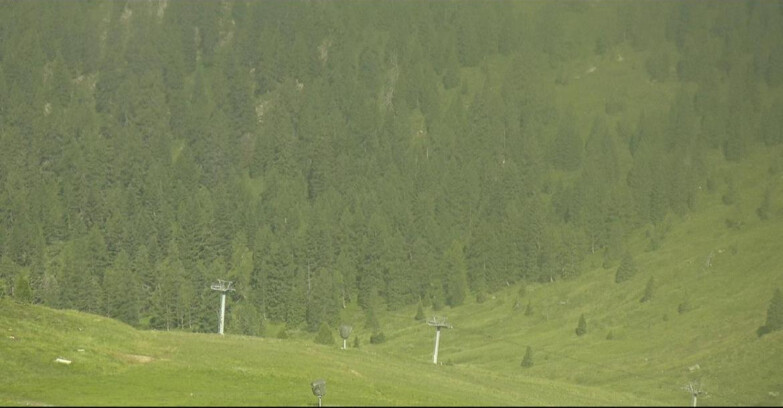 Webcam Сан-Мартино-ди-Кастроцца - Пассо-Ролле - Tognola - Piste Scandola
