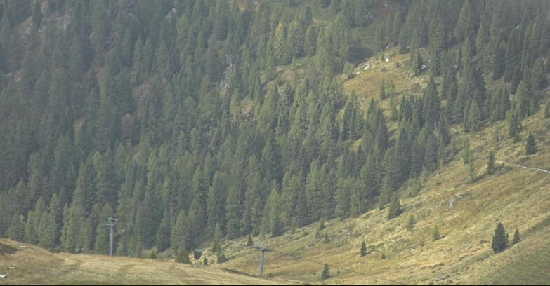 Webcam San Martino di Castrozza - Passo Rolle - Tognola - Piste Scandola