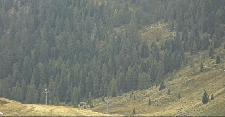 Webcam San Martino di Castrozza - Passo Rolle - Tognola - Piste Scandola