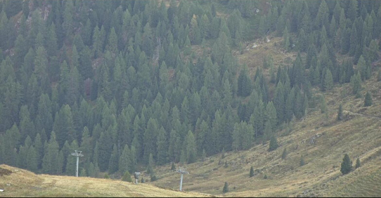 Webcam San Martino di Castrozza - Passo Rolle - Tognola - Piste Scandola