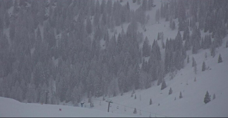Webcam San Martino di Castrozza - Passo Rolle - Tognola - Pista Scandola