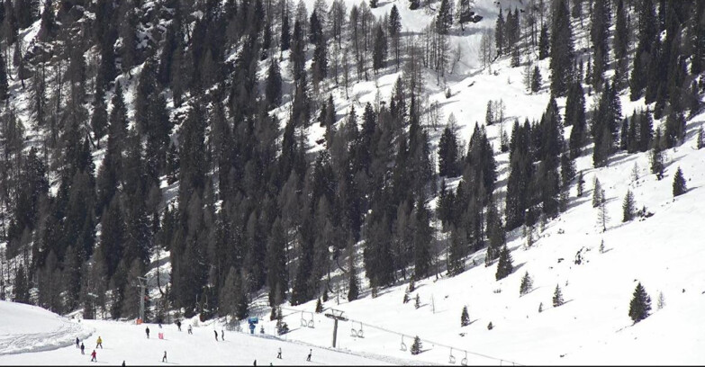 Webcam San Martino di Castrozza - Passo Rolle - Tognola - Pista Scandola
