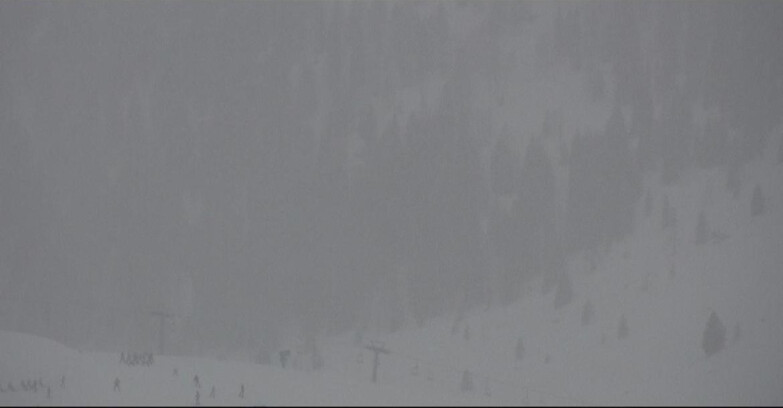 Webcam Сан-Мартино-ди-Кастроцца - Пассо-Ролле - Tognola - Piste Scandola