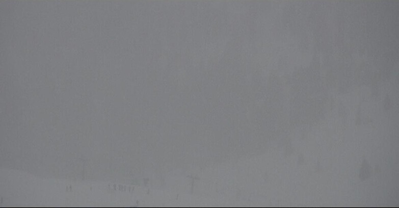 Webcam Сан-Мартино-ди-Кастроцца - Пассо-Ролле - Tognola - Piste Scandola