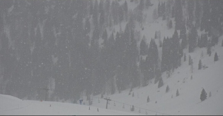 Webcam Сан-Мартино-ди-Кастроцца - Пассо-Ролле - Tognola - Piste Scandola