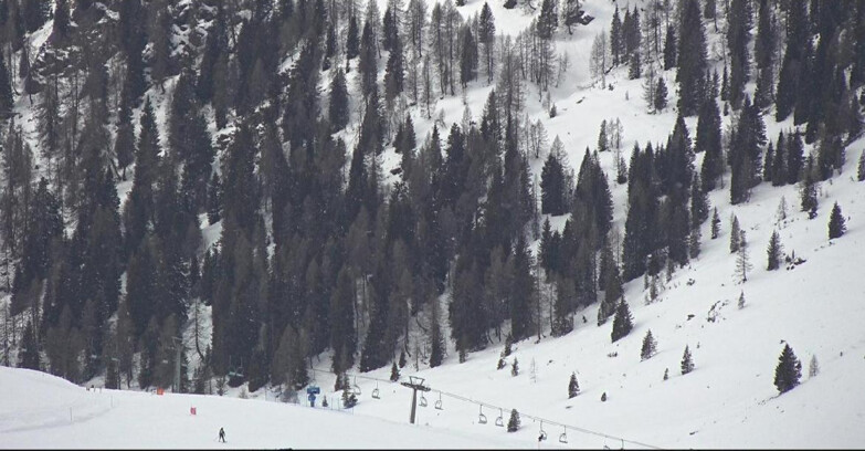 Webcam Сан-Мартино-ди-Кастроцца - Пассо-Ролле - Tognola - Piste Scandola