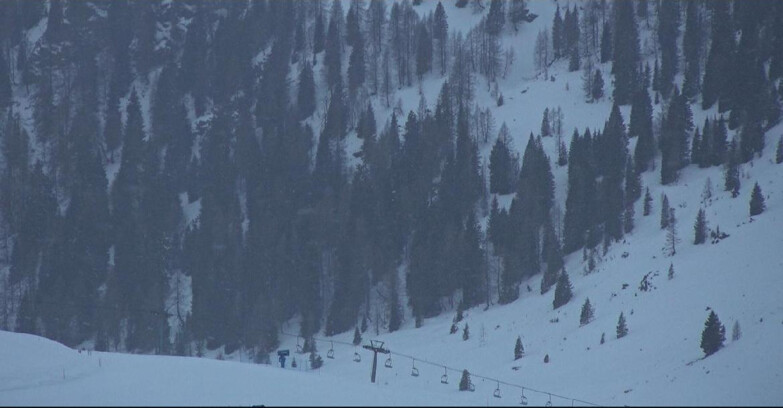 Webcam Сан-Мартино-ди-Кастроцца - Пассо-Ролле - Tognola - Piste Scandola