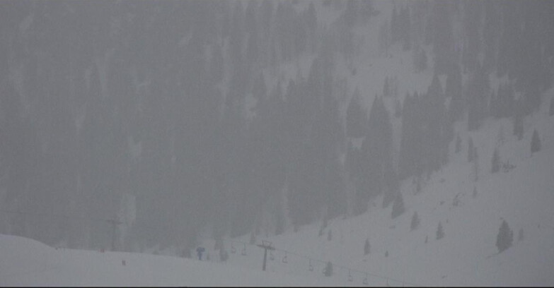 Webcam Сан-Мартино-ди-Кастроцца - Пассо-Ролле - Tognola - Piste Scandola