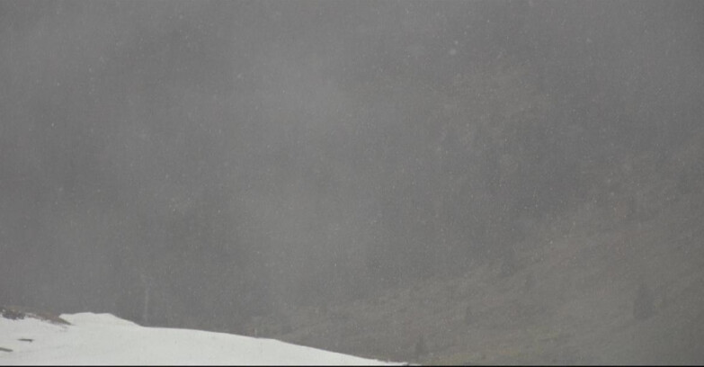 Webcam San Martino di Castrozza - Passo Rolle  - Tognola - Piste Scandola