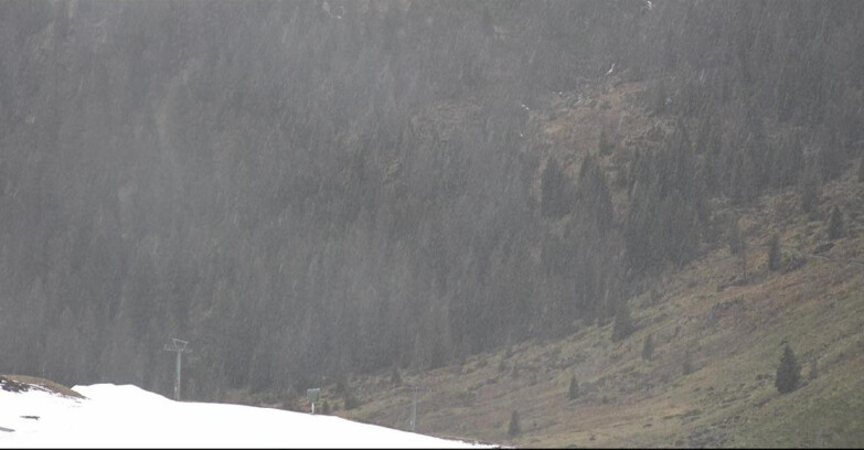 Webcam San Martino di Castrozza - Passo Rolle - Tognola - Piste Scandola