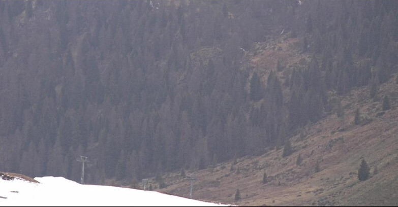 Webcam San Martino di Castrozza - Passo Rolle  - Tognola - Piste Scandola