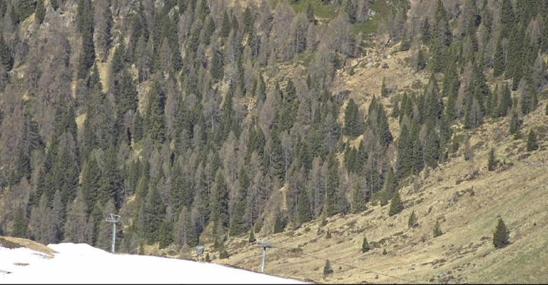Webcam San Martino di Castrozza - Passo Rolle - Tognola - Piste Scandola