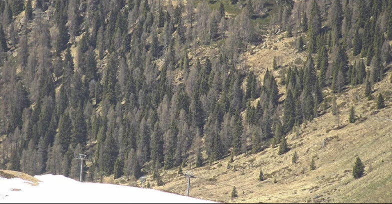Webcam San Martino di Castrozza - Passo Rolle - Tognola - Piste Scandola