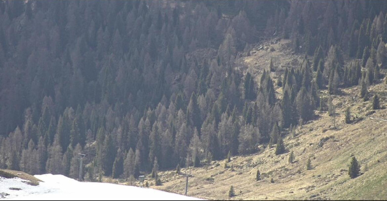 Webcam San Martino di Castrozza - Passo Rolle - Tognola - Piste Scandola