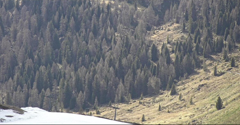 Webcam San Martino di Castrozza - Passo Rolle - Tognola - Piste Scandola