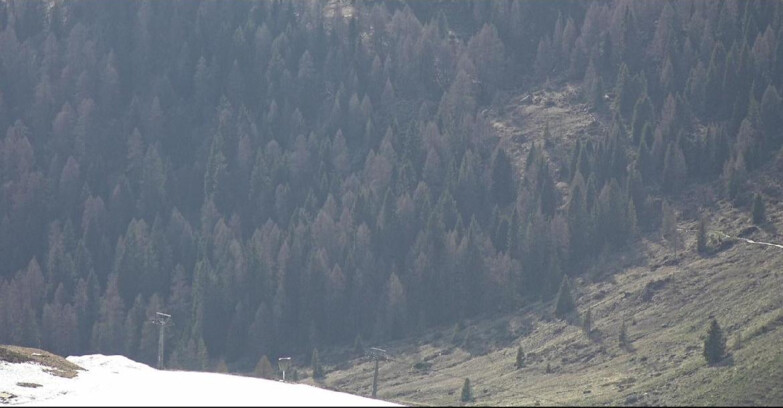 Webcam San Martino di Castrozza - Passo Rolle - Tognola - Piste Scandola
