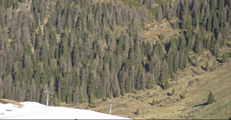 Webcam San Martino di Castrozza - Passo Rolle - Tognola - Piste Scandola