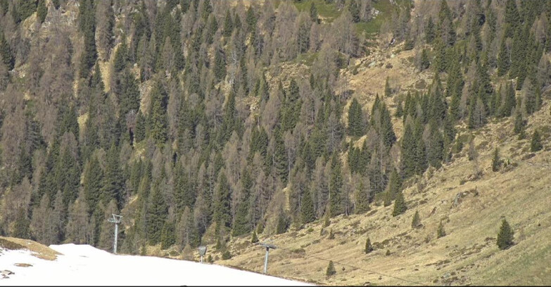 Webcam San Martino di Castrozza - Passo Rolle - Tognola - Piste Scandola