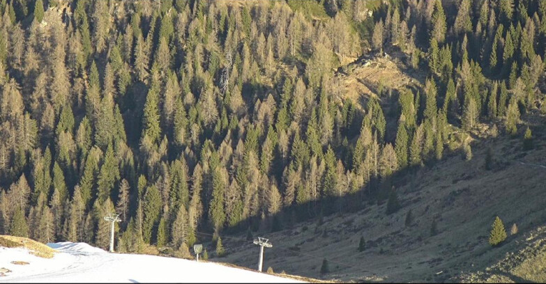 Webcam San Martino di Castrozza - Passo Rolle - Tognola - Piste Scandola
