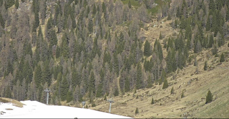 Webcam San Martino di Castrozza - Passo Rolle - Tognola - Piste Scandola