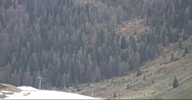 Webcam Сан-Мартино-ди-Кастроцца - Пассо-Ролле - Tognola - Piste Scandola