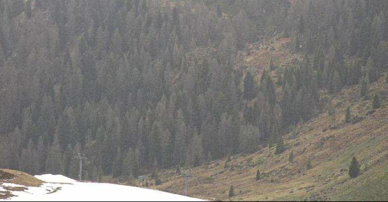 Webcam Сан-Мартино-ди-Кастроцца - Пассо-Ролле - Tognola - Piste Scandola
