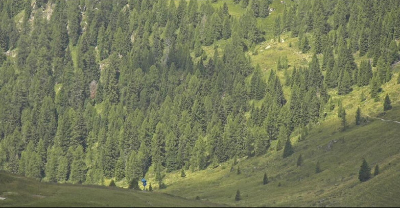 Webcam San Martino di Castrozza - Passo Rolle - Tognola - Pista Scandola
