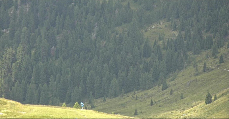 Webcam San Martino di Castrozza - Passo Rolle - Tognola - Pista Scandola