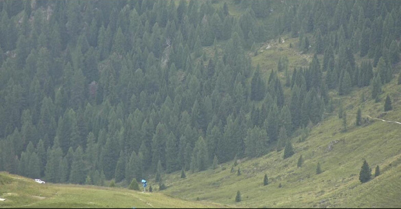 Webcam San Martino di Castrozza - Passo Rolle - Tognola - Pista Scandola