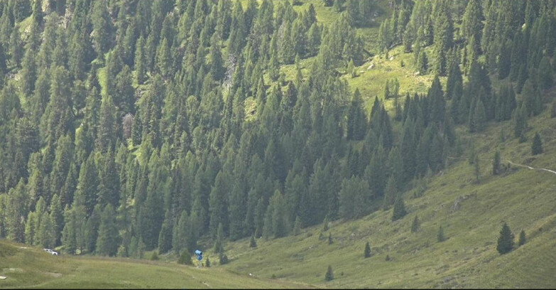 Webcam San Martino di Castrozza - Passo Rolle - Tognola - Pista Scandola