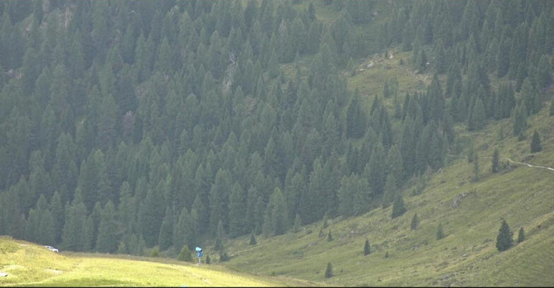Webcam San Martino di Castrozza - Passo Rolle - Tognola - Pista Scandola
