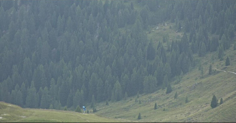Webcam San Martino di Castrozza - Passo Rolle - Tognola - Pista Scandola