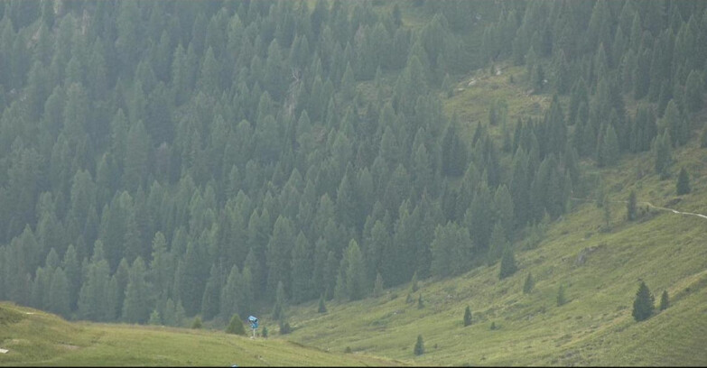 Webcam San Martino di Castrozza - Passo Rolle - Tognola - Pista Scandola