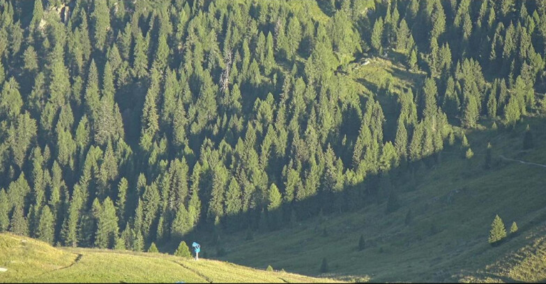 Webcam San Martino di Castrozza - Passo Rolle - Tognola - Pista Scandola