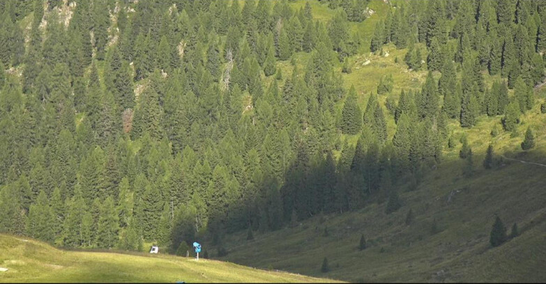 Webcam San Martino di Castrozza - Passo Rolle - Tognola - Pista Scandola